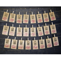 Planner Essentials 17