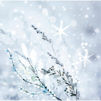 Elizabeth craft design papierblok Mystical Winter