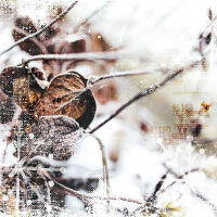 Elizabeth craft design papierblok Mystical Winter