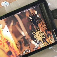 Dies, Planner die - Forest Finds