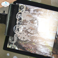 Dies, Planner die - Forest Finds