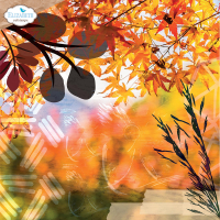 Elizabeth craft design papierblok Wanderlust