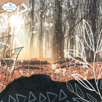 Elizabeth craft design papierblok Wanderlust