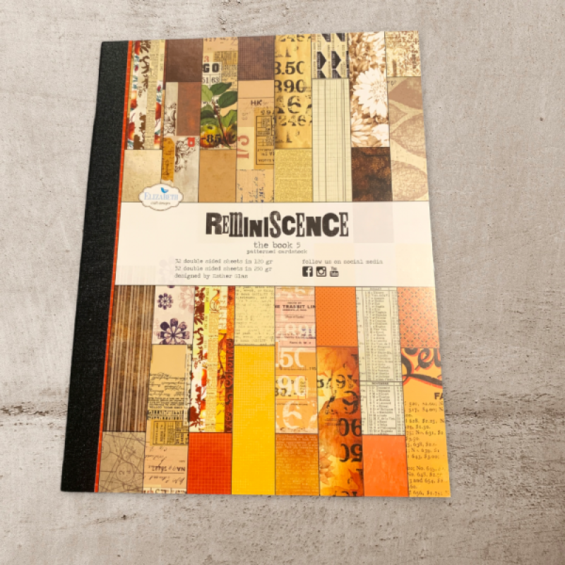 Reminiscence the book 5