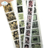 Clear stamps, Postage Stamps 1