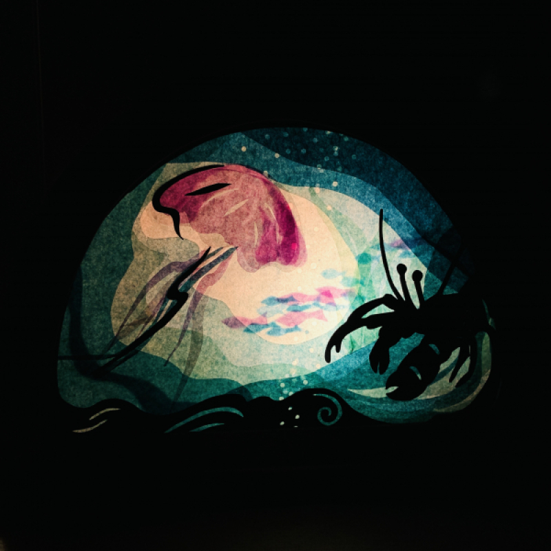 Transparant Diep in de zee