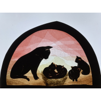 Transparant Poezen familie