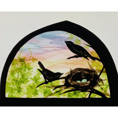 Transparant Merelnest